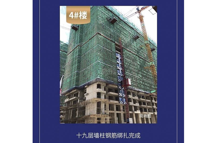 金科观天下实景图