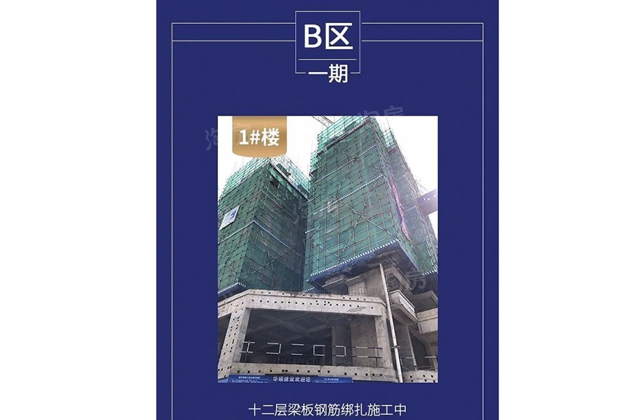 金科观天下实景图