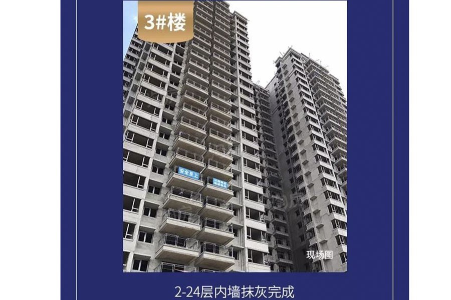 金科观天下实景图