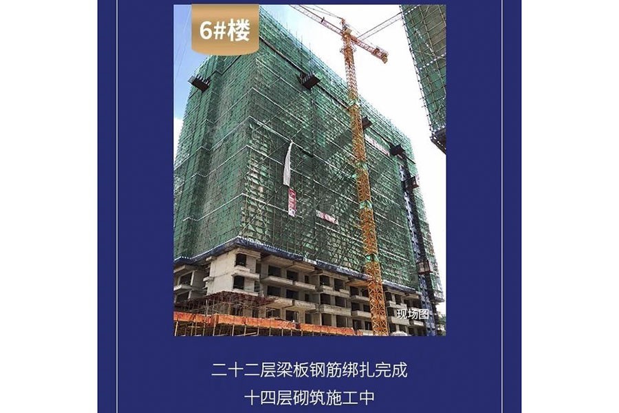 金科观天下实景图