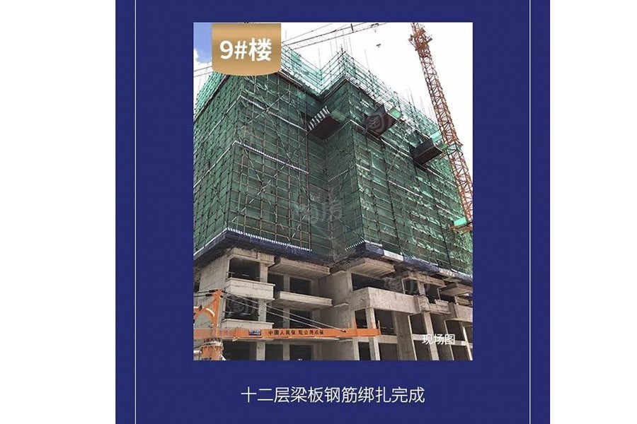 金科观天下实景图