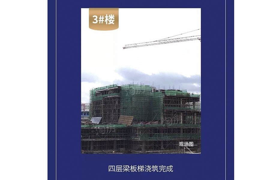 金科观天下实景图