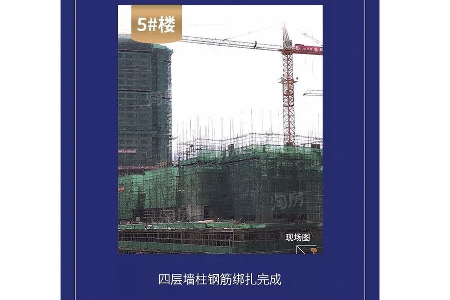 金科观天下实景图