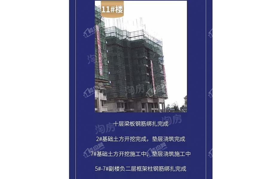 金科观天下实景图