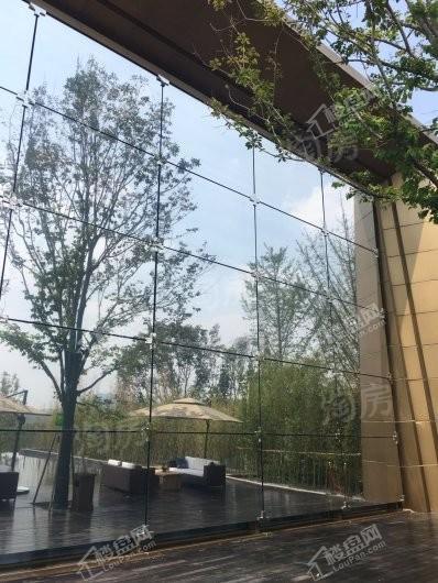 泰禾大城小院实景图
