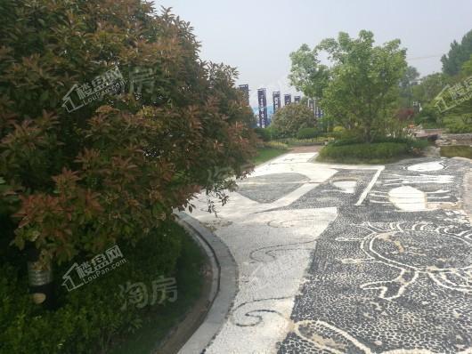 碧桂园中央公园实景图