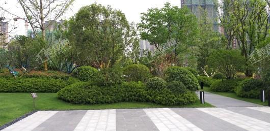 都荟上城实景图