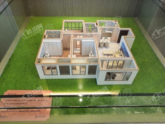 中南·樾府实景图