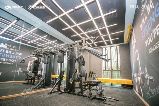 铂悦·庐州府实景图