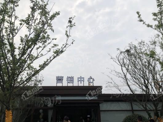 雅居乐雅尊府实景图