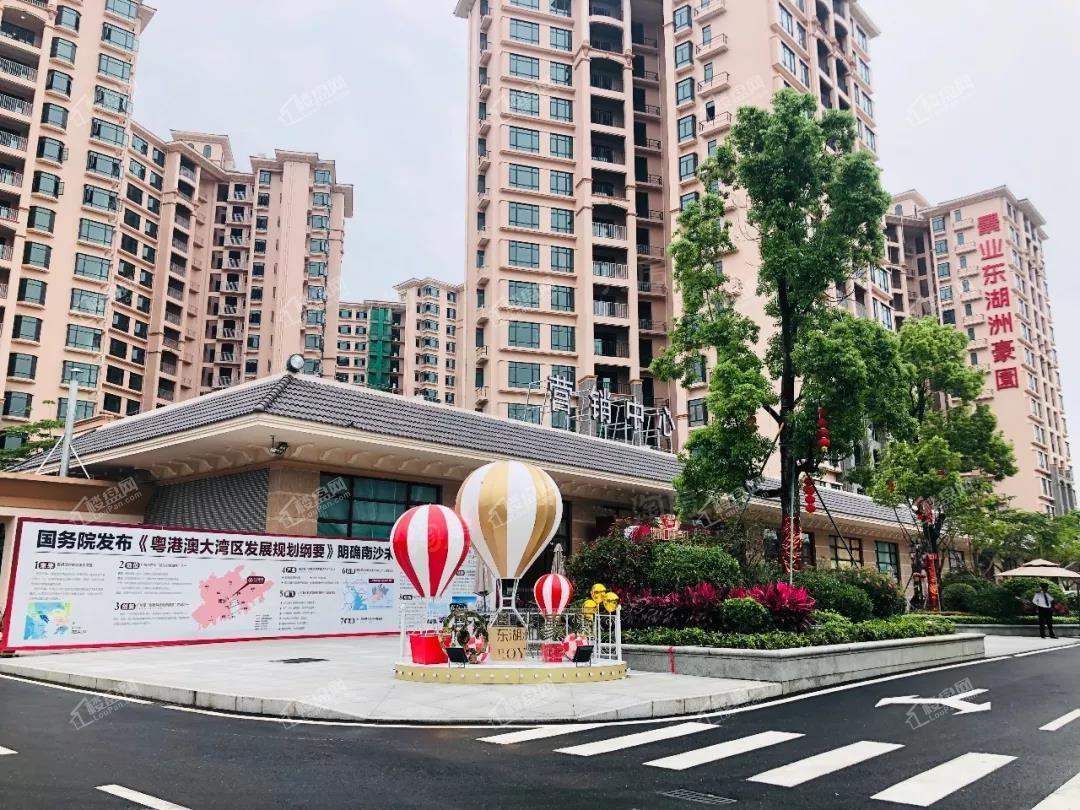 景业东湖洲豪园实景图
