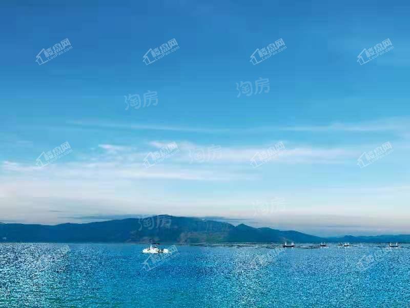 万科500里实景图