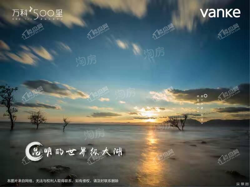 万科500里实景图