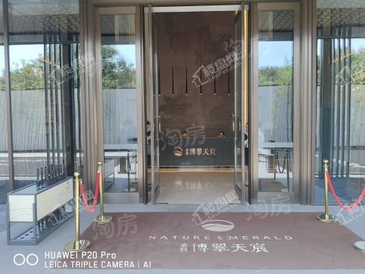 金科·博翠天宸实景图