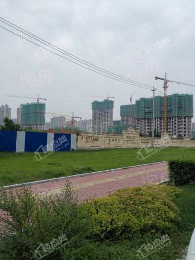 阳光美湖天地实景图
