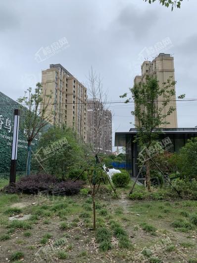 文通拾里间实景图