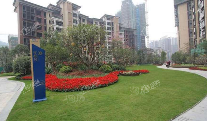 星河山海湾实景图