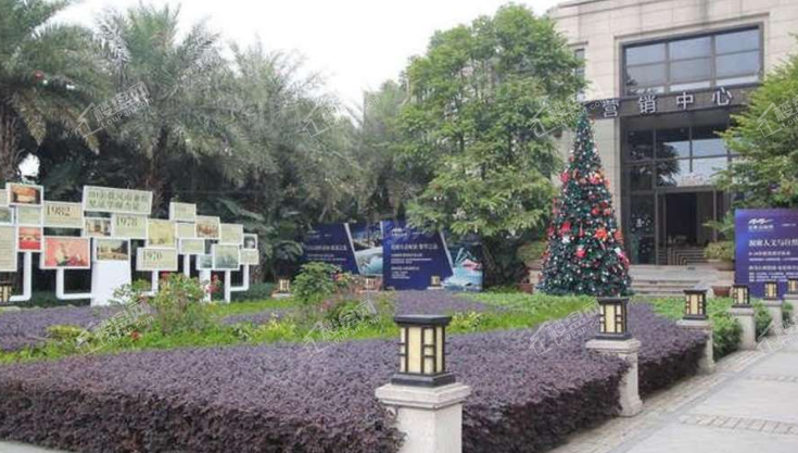 星河山海湾实景图