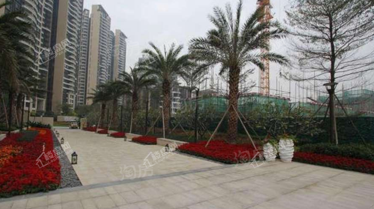 星河山海湾实景图