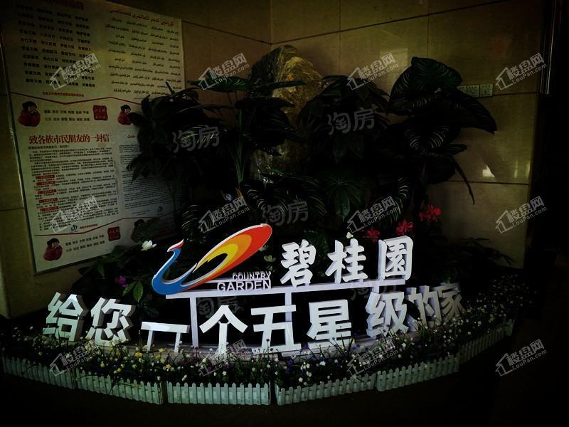 碧桂园天玺实景图