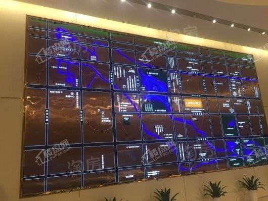 美盛象湖100实景图