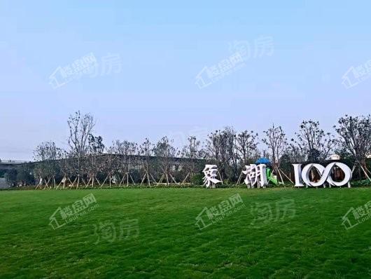 美盛象湖100实景图