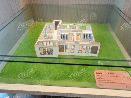 中南·樾府实景图