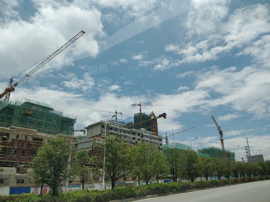 大唐印象实景图