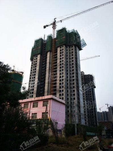 佳荷明都实景图