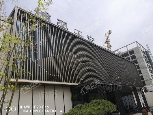 金科·博翠天宸实景图