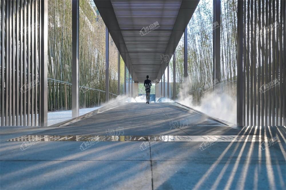 保利·江锦1号实景图