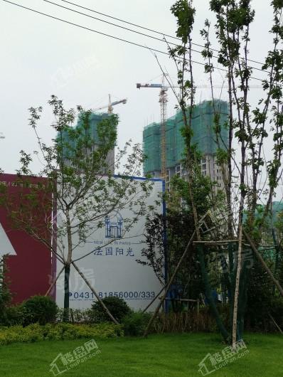 阳光美湖天地实景图