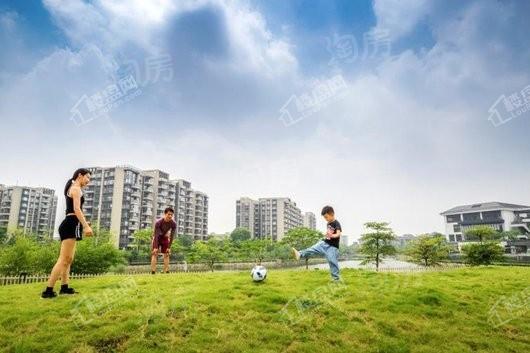 广佛新世界花园洋房实景图