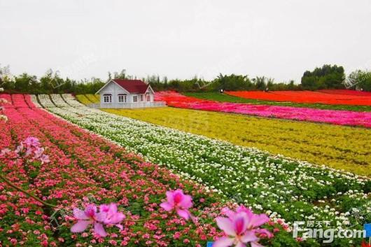 城投·首筑花园配套图