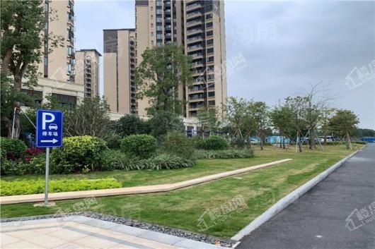 城投·首筑花园实景图