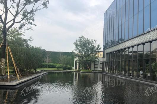 珠江铂世湾实景图
