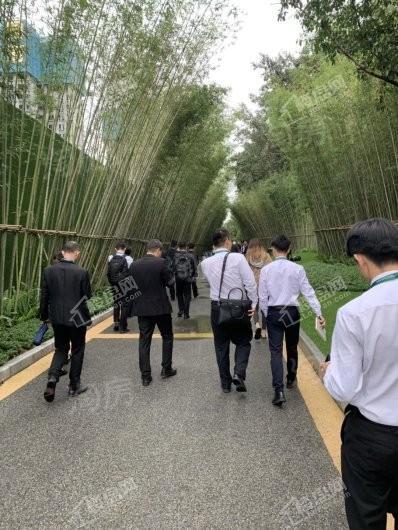 藏珑府实景图