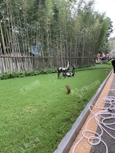 藏珑府实景图