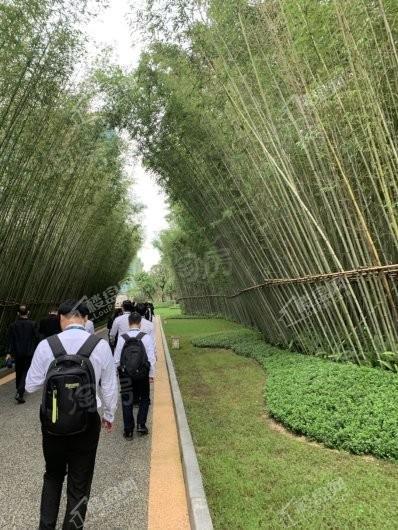 藏珑府实景图