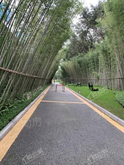 藏珑府实景图