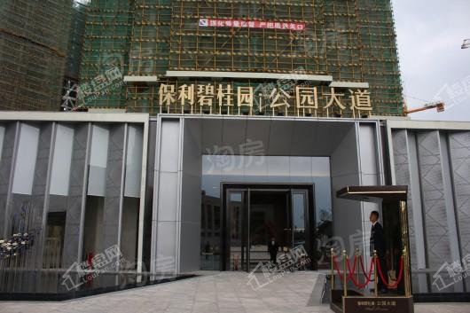 保利碧桂园公园大道实景图