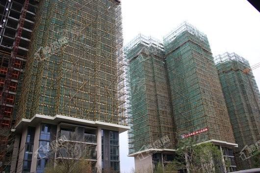 保利碧桂园公园大道实景图
