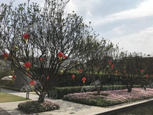 保利东郡实景图