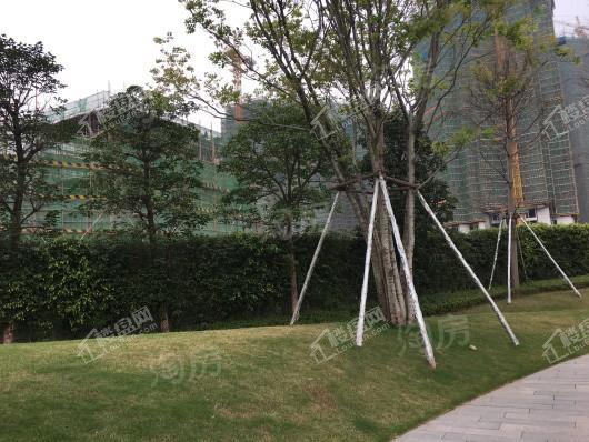 保利东郡实景图