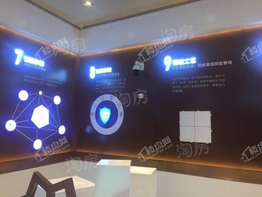 美盛象湖100实景图