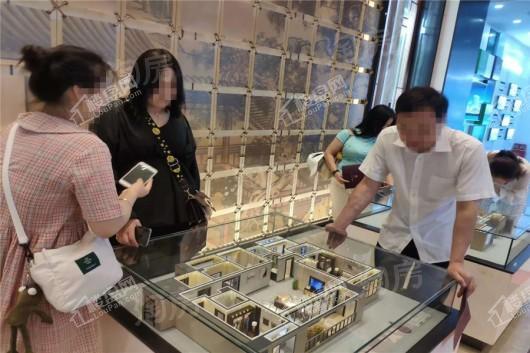 雅居乐·天域实景图