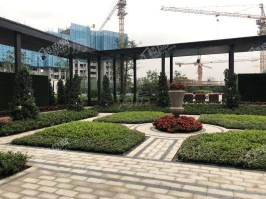 万科金域蓝湾实景图