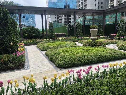 万科金域蓝湾实景图