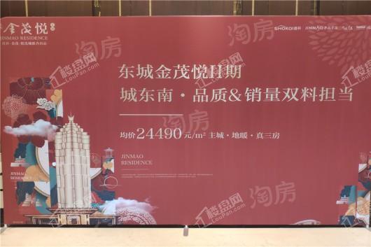 东城金茂悦II期实景图