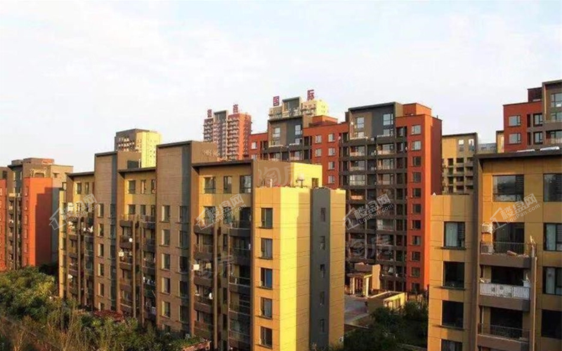 德商伍號院实景图
